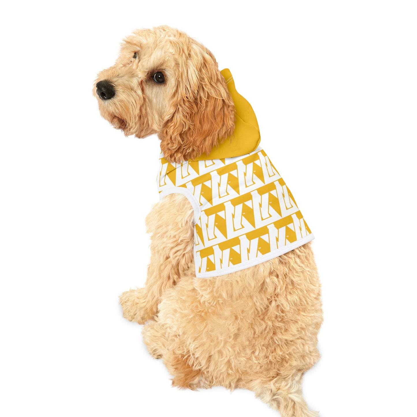 AntibodY Pattern Dog Hoodie