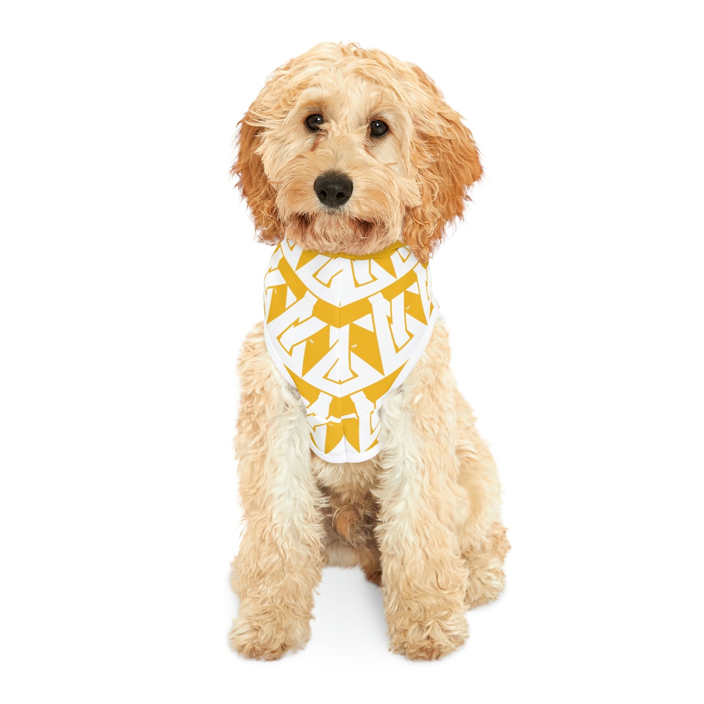 AntibodY Pattern Dog Hoodie