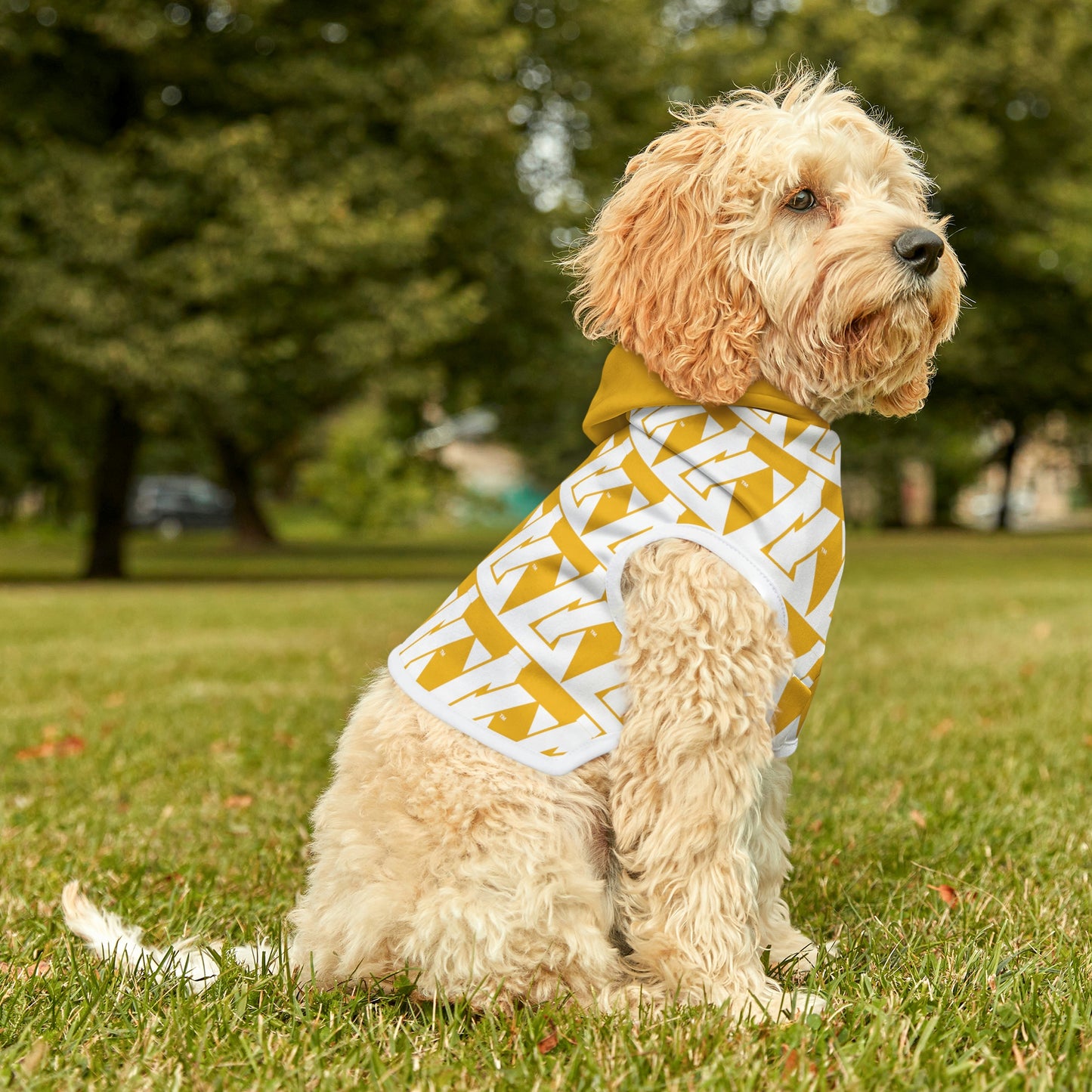 AntibodY Pattern Dog Hoodie