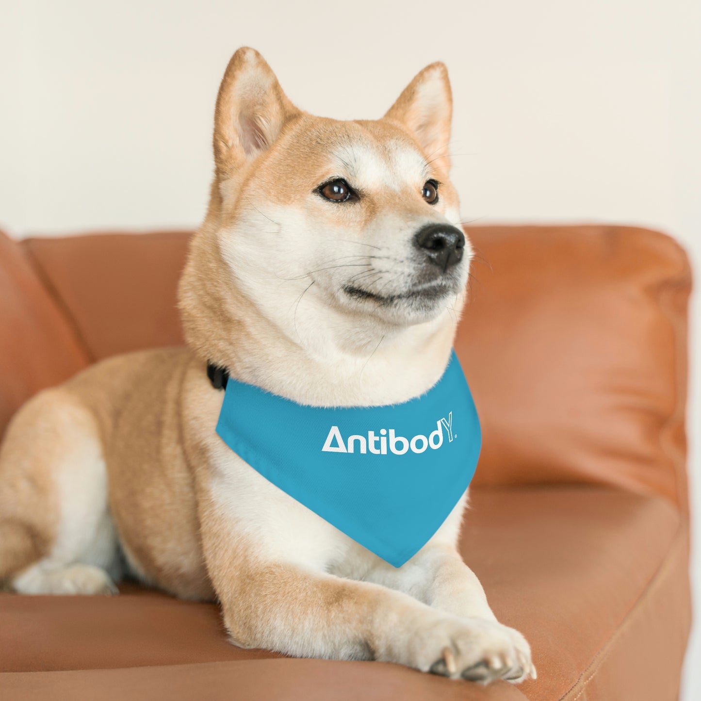 AntibodY Pet Bandana Collar