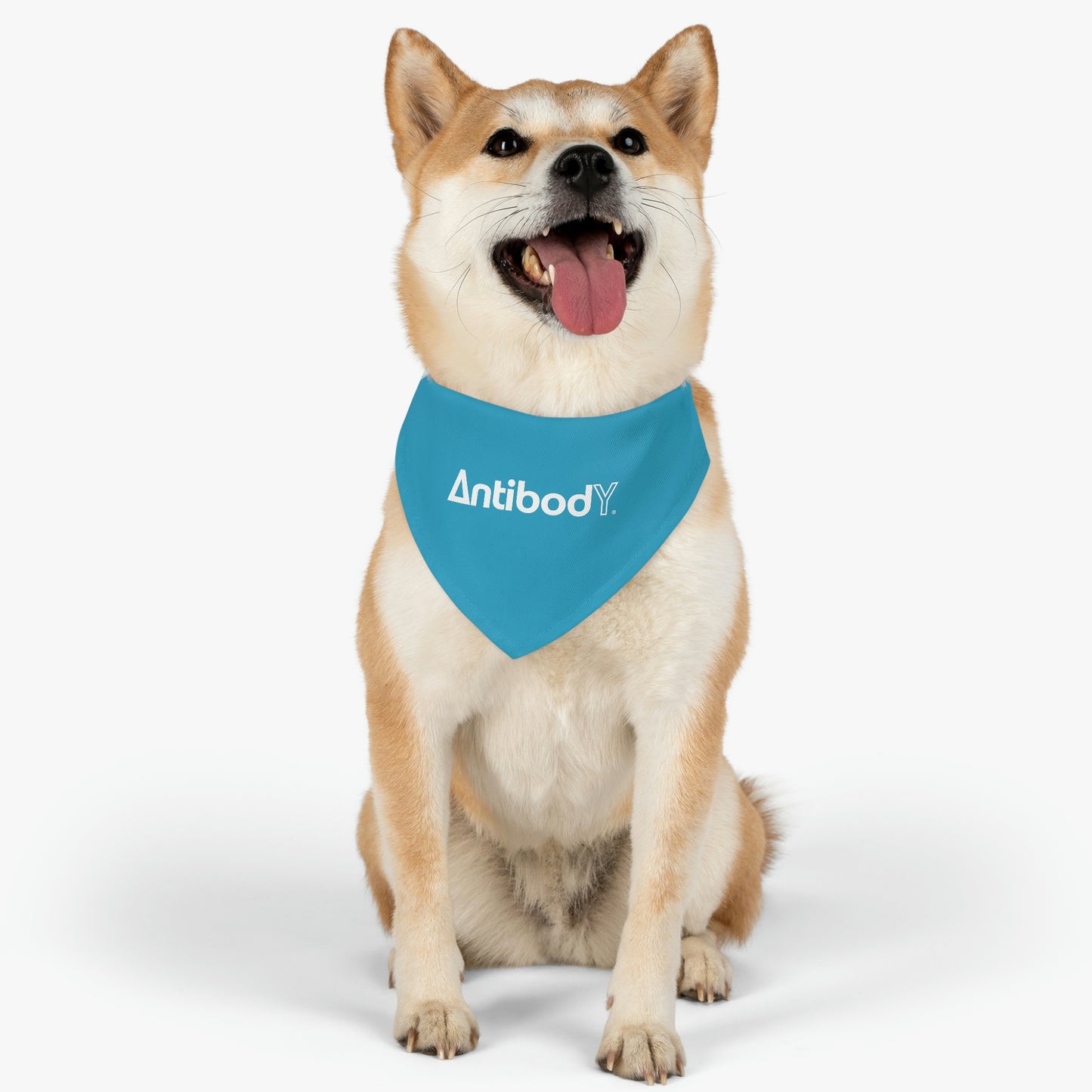 AntibodY Pet Bandana Collar