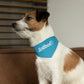 AntibodY Pet Bandana Collar