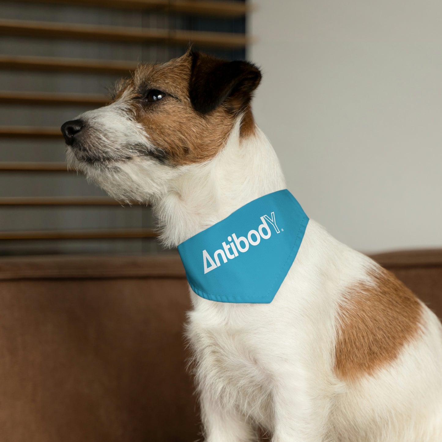 AntibodY Pet Bandana Collar