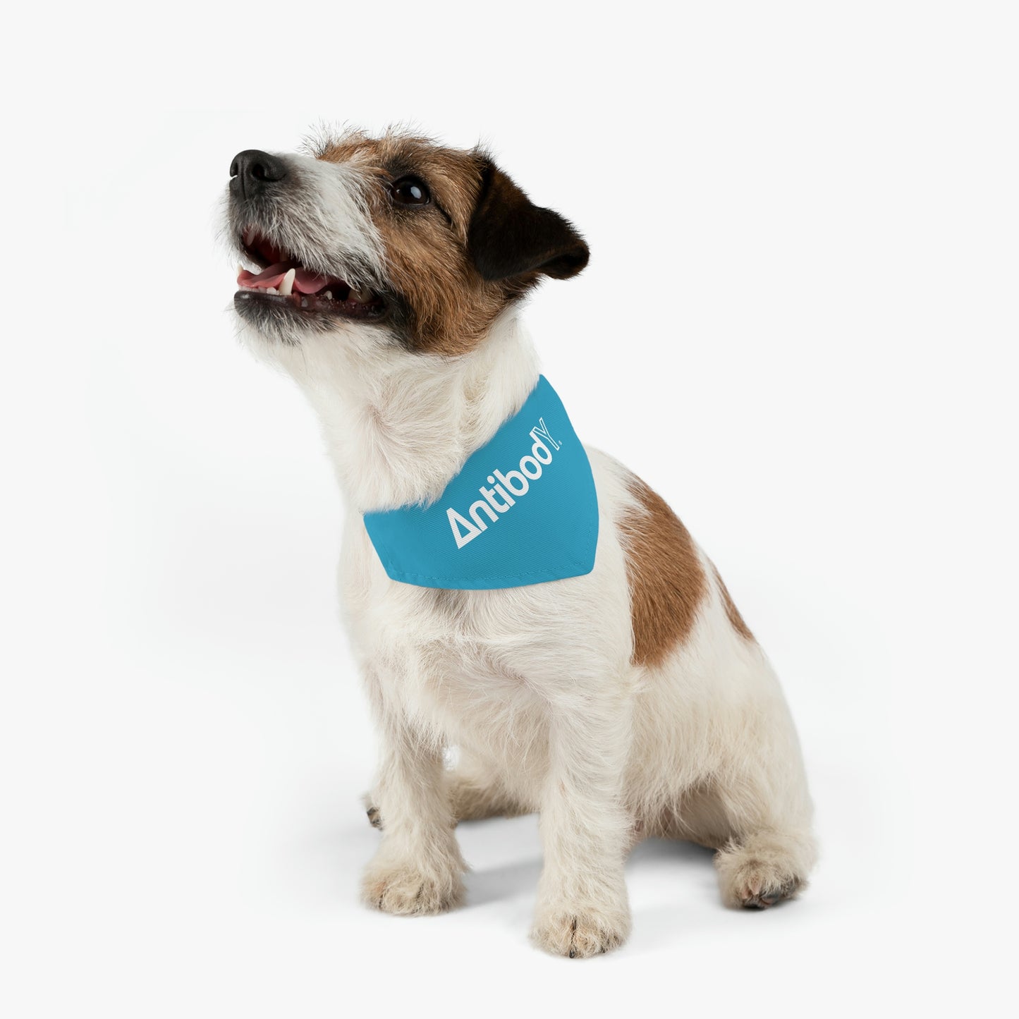 AntibodY Pet Bandana Collar